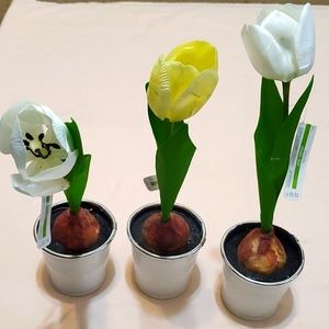 3 Faux Potted Tulip Bulbs